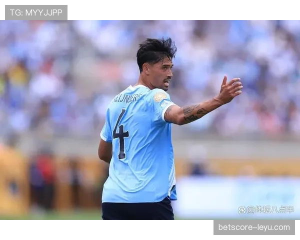 德甲夏季转会窗口盘点：多笔重磅引援与年轻新星加盟引发热议