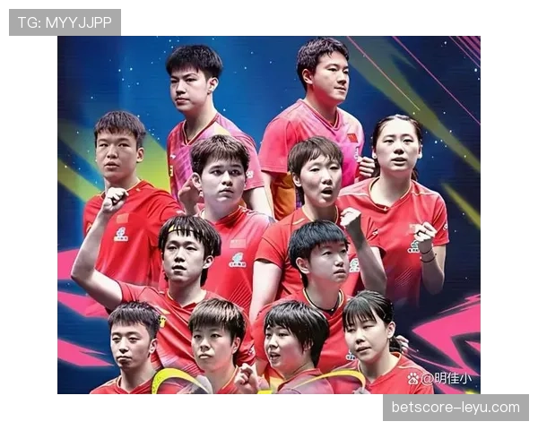 球队主力阵容再升级，新赛季战力飙升引期待